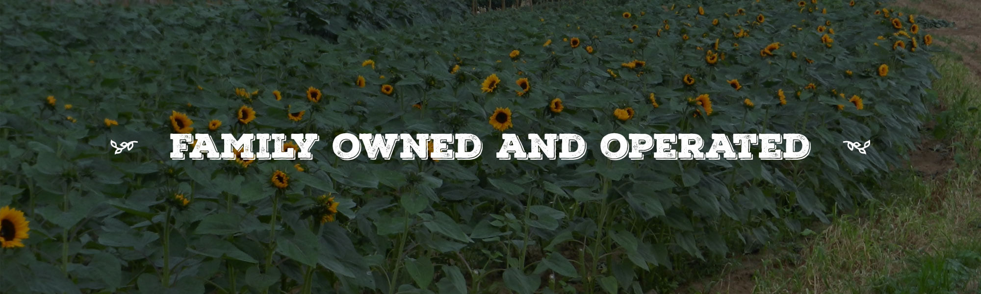 Family Owned and Operated overlay on image of Sunflower field