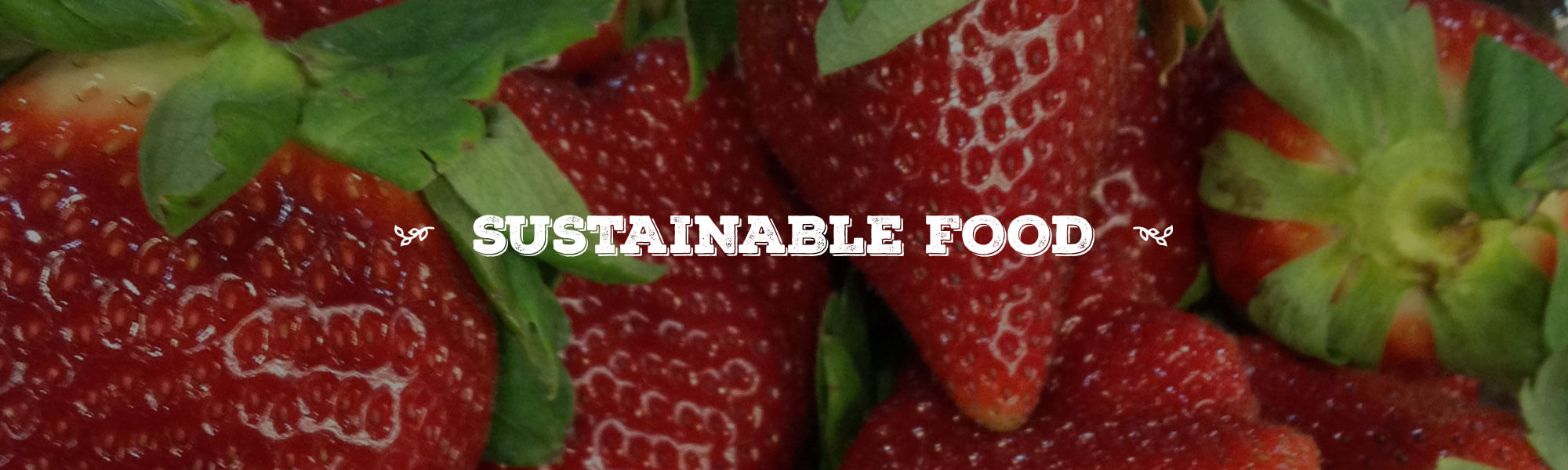 Sustainable Food overlay on close up photo of red strawberries
