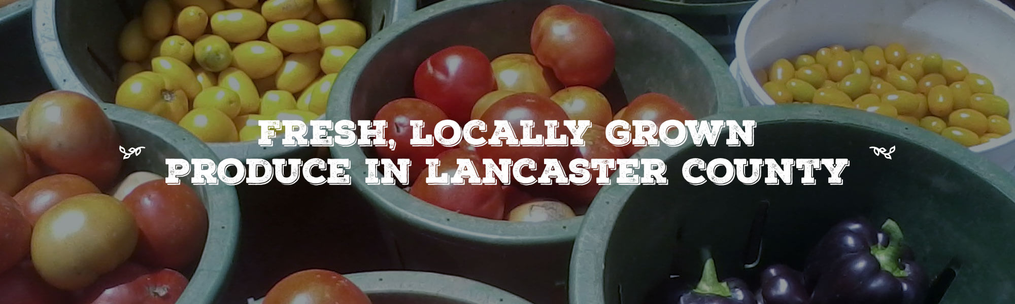 Fresh, Locally Grown Produce In Lancaster County overlay on image of baskets of a variety of different tomatoes